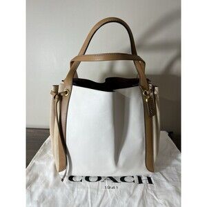 Coach Harmony Hobo in Cream And Beige Colorblock 53396